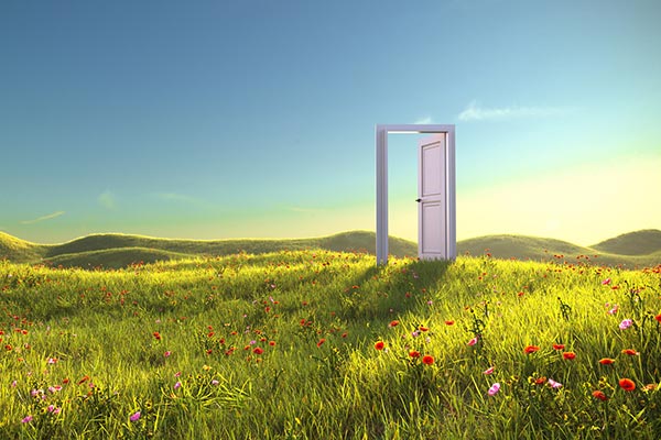 Door opening in field of green naturescape
