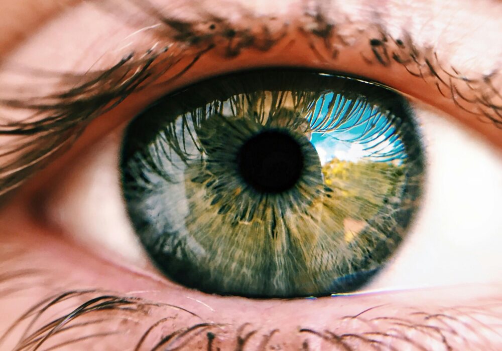 Don’t Text to Thrive: How Making Eye Contact Helps You Navigate Relational Conflict